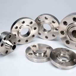 Hastelloy Flange