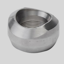Stainless Steel Olets