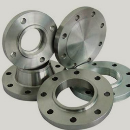 SS Flanges