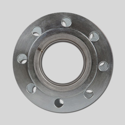 SS Loose Flanges
