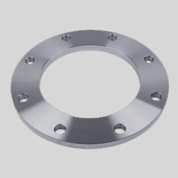 SS Plate Flanges